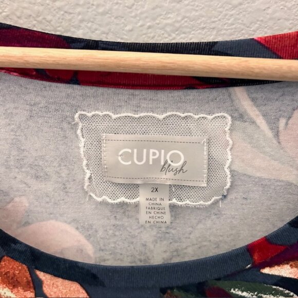 Cupio Blush Balloon Sleeve Floral Blouse Top Size 2X - Picture 4 of 7